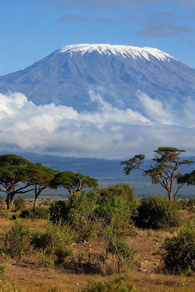 Destination Placeholder