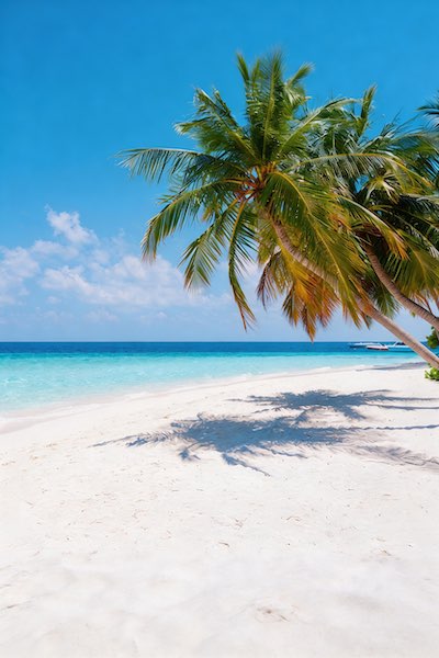 Destination Placeholder