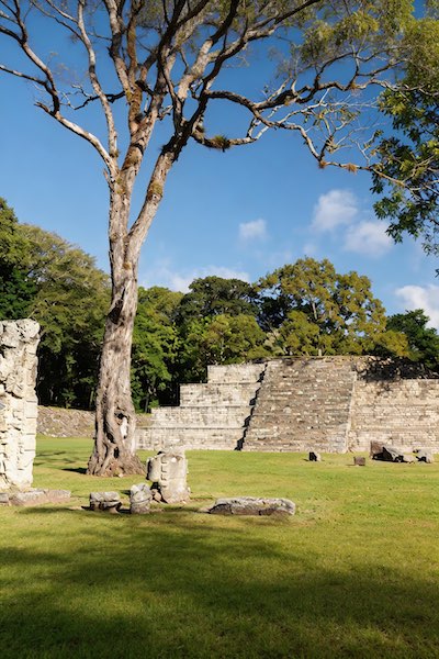 Destination Placeholder