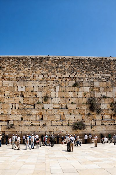 Destination Placeholder