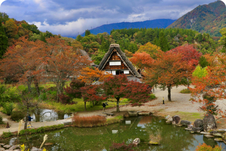 Best eSIM for Japan Travel 2026: Save Money & Stay Connected