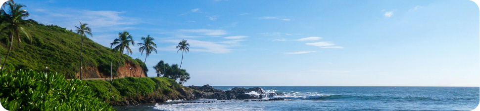 eSIM: The Ultimate "Seamless Connectivity" Solution for Digital Nomads, International Students, and Expatriates