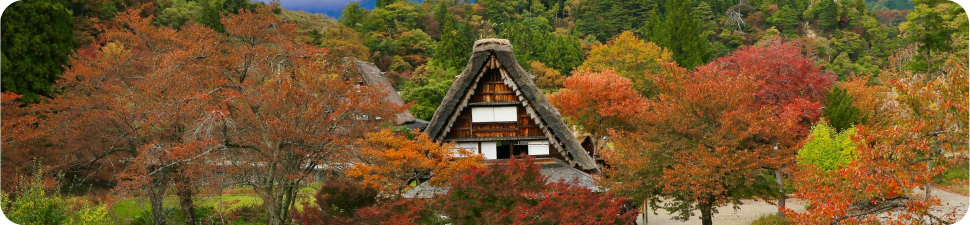 Best eSIM for Japan Travel 2026: Save Money & Stay Connected