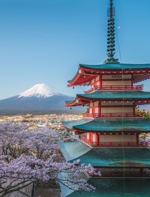 Japan 2026 In-Depth Travel Guide: A Smart, Seamless Journey from Cherry Blossoms to Autumn Leaves 🗾🌸